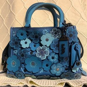 Blue Rouge 25 with Tea Rose Coach Bag